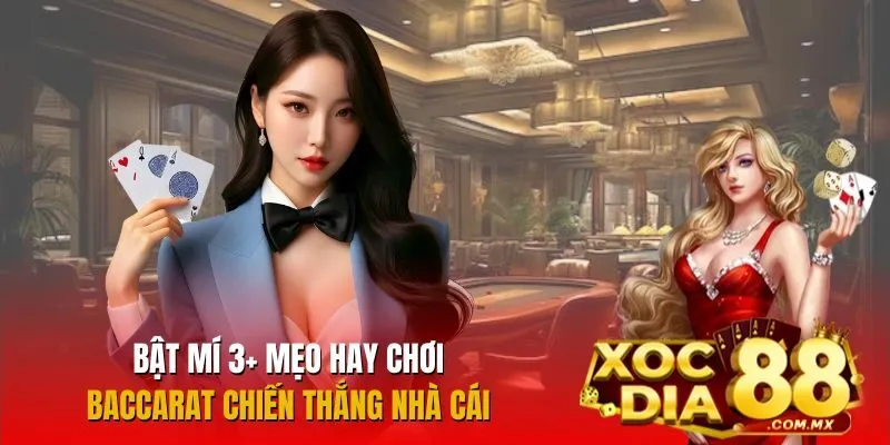 3+ mẹo chơi Baccarat đỉnh cao giúp bạn dễ dàng thắng đậm