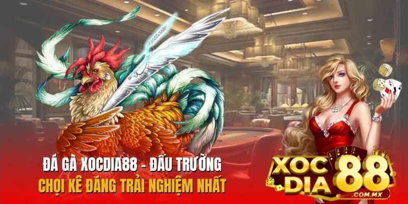 Các hình thức Đá Gà Xocdia88
