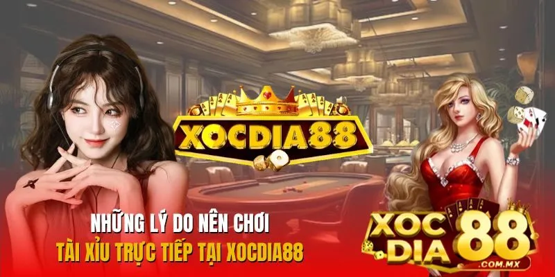 Vì sao nên trải nghiệm Tài Xỉu trực tiếp tại Xocdia88?